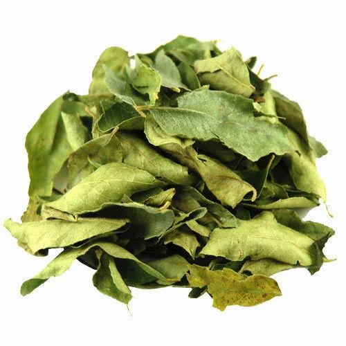 Common Curry Leaves